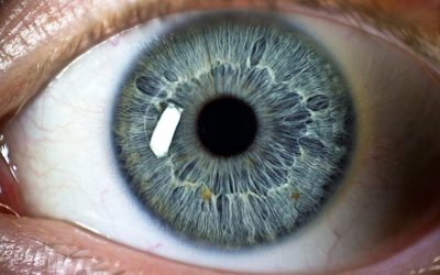 Recovering from Post Traumatic Stress Disorder (PTSD)