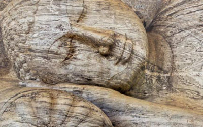 Looking for a private counsellor?