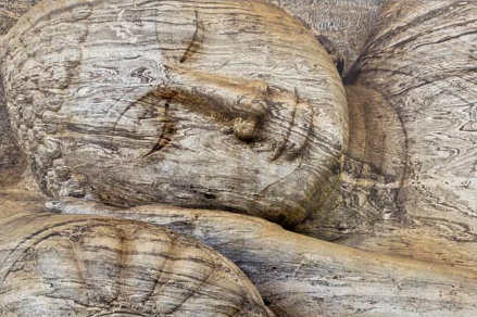 Looking for a private counsellor?